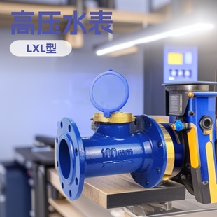 LXLC100����ʽˮ�� LXL��ˮ�� �ڏ�DN100�߉�ˮ��