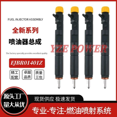 Ejbr01401Z Common Rail dizel injektoru 166003978R Nissan Mic üçün