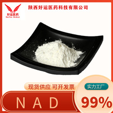 NAD 99% β-烟酰胺腺嘌呤二核苷酸  辅酶Ⅰ好运现货供应