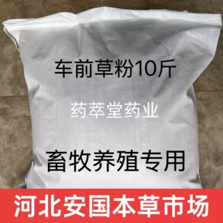 车前草打粉畜牧养殖专用猪牛羊鸡鸭鹅禽中草药材免疫增强
