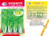 23 days of early birth of fast vegetable seeds about 1600 grains of four seasons of precocious Chinese cabbage Huangxin Taiwan small cabbage seeds