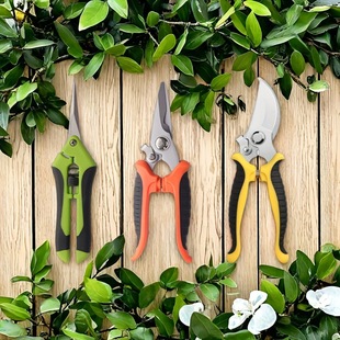 2025 New Cross-Border Dropshipping 3-Piece Set of Multifunctional Professional Gardening Pruning Tools Cross-Border Dropshipping