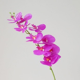 �����m�L�U9�^������c�Ҿ��Ɍ��zӰ�����b[�ŷ��滨�[������