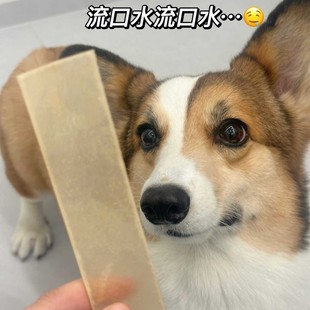 �ɹ���������