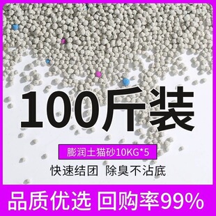 ����؈ɰ����w���������l�Y�F����100��͉m80��؈����Ʒ