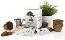 亚马逊植物盆栽出口家庭礼盒桌面办公室摆设摆件创意文艺批发直销