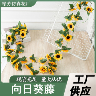 ���滨���տ����ٽ����ټҾӿ͏d�������b�ͥԺ�쾰̫ꖻ��ٻ���