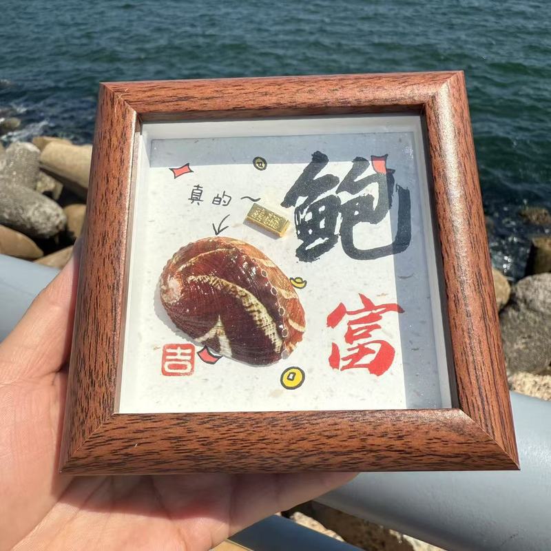 送料無料天然法螺貝塩漬け魚ナマコカニ標本フォトフレーム装飾品海辺クリエイティブギフト誕生日ギフト|undefined