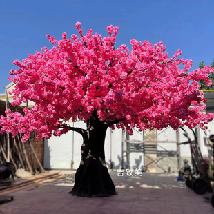 ����䓷���ѻ��䶨���S���һ����c�̈��쾰�b٘���ͷ����