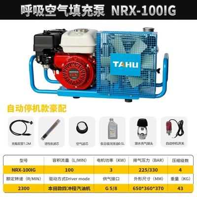 Hava kompressorları | Compressor 30Mpa - nrx-100ig-gasoline-automatic-luxury-equipment-comes-with-diving-inflator-head