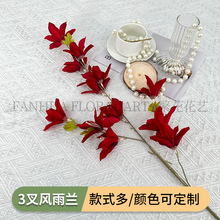 ���澀�l������3���L���m��Y�û�c·���͏d�b�鷿�������l