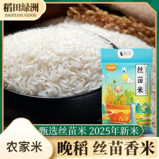 �V�����ǒ���z���׵�����؈����2025�꼚���L������5kg5���b�ó�