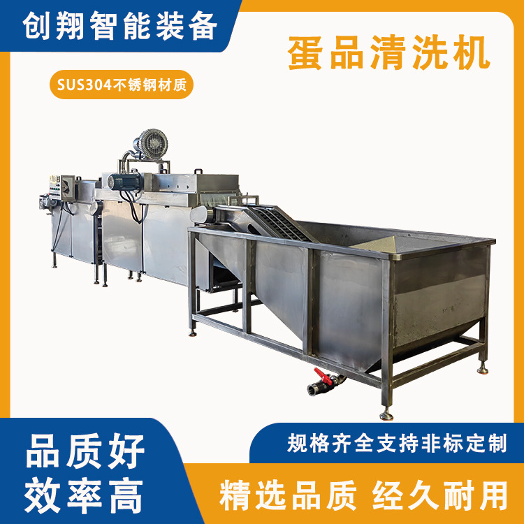 全自动鲜鸡蛋洗蛋机多功能蛋品自动清洗机双排冲洗蛋液加工流水线