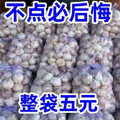 2024山東金郷紫皮ニンニク乾燥ニンニク5斤10斤新鮮多弁農家新ニンニク頭ニンニク頭