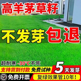 ����é��ƺ�N���ļ������ͺ���������С�^���@�o���伾�;G������