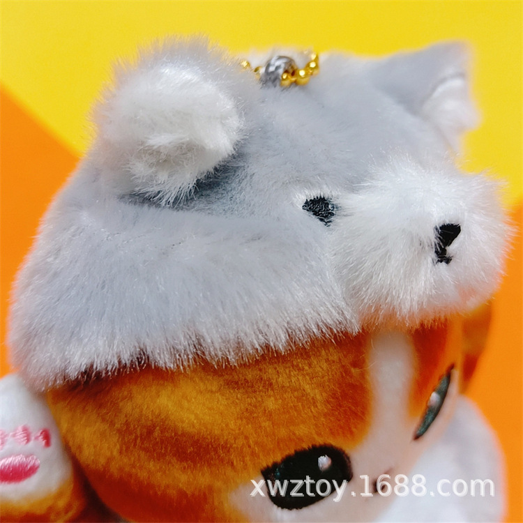 MYXJ_20230821011719428_fast.jp