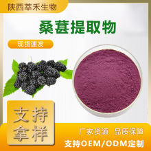 桑葚提取物50：1浓缩粉水溶性粉花青素支持检测食品级
