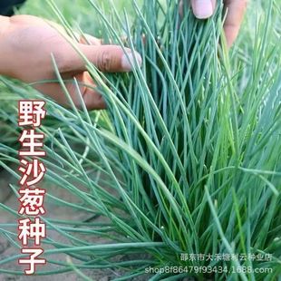 Ұ��ɳ�[�N���ɹž²�Ұ���[�N��С���[�N�Ӳ��N�߲˷N���̨ͥԺ