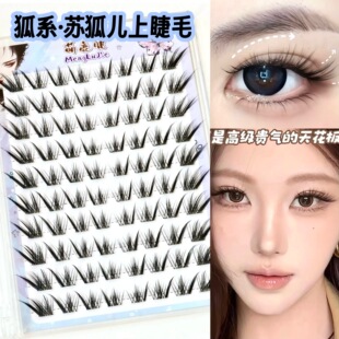 ��¹�����z�ٽ�ë��ϵ�K�����Ͻ�ë�����������ֶַ�������βб�w