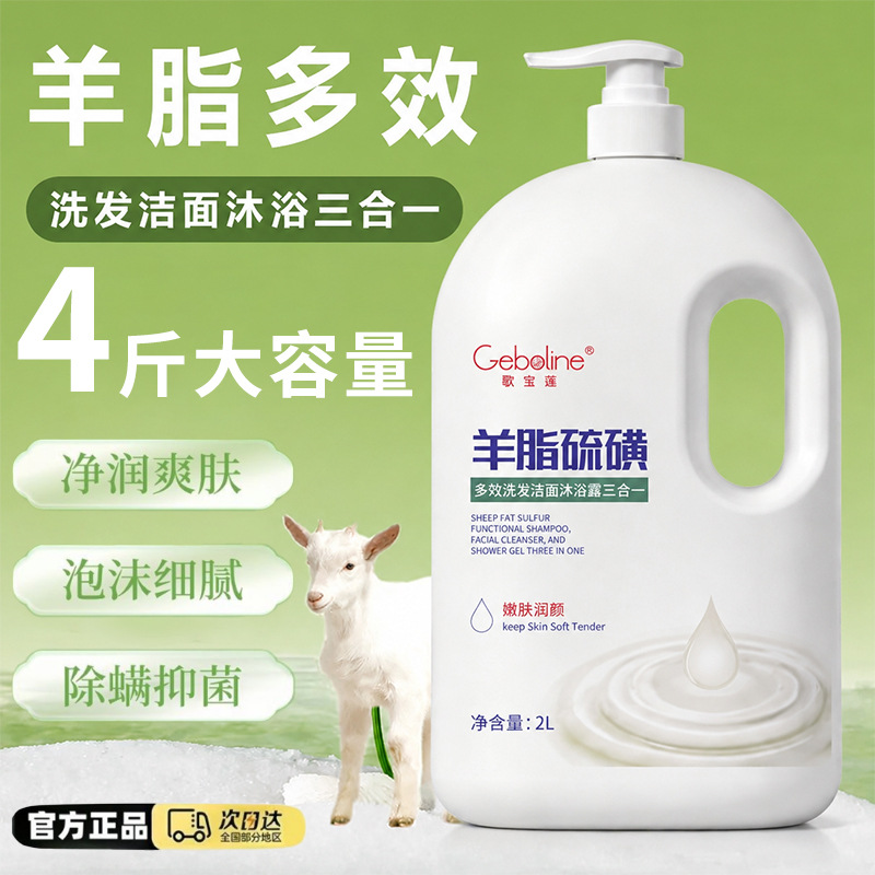 거바오리안 신상 샴푸 클렌징 바디 3in1 양지 유황 바디워시 지속 향 클렌징 바디워시