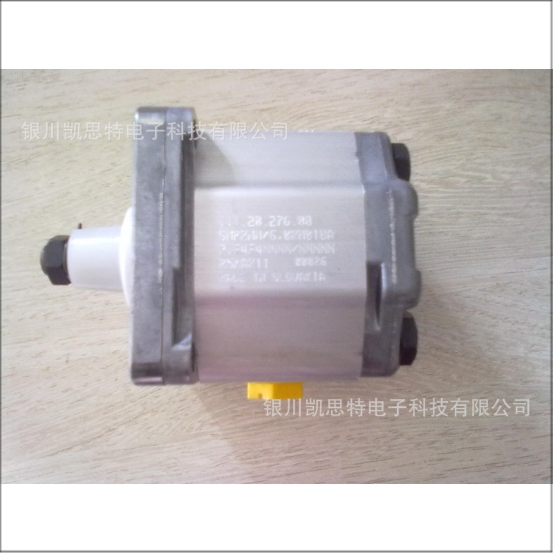 Danfoss丹佛斯 全新齿轮泵 111.20.276.00 现货供应