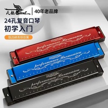 批发天鹅口琴24孔C调复音口琴儿童初学者入门学生专业成人乐器