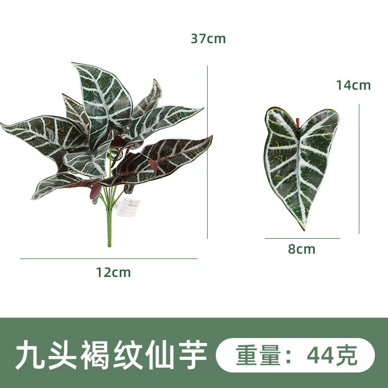 YH161-300-9 아홉 머리 다크 브라운 타로