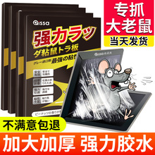 老鼠贴超强力粘鼠板抓大老鼠扑捉灭鼠胶沾家用捕鼠神器一锅端批发