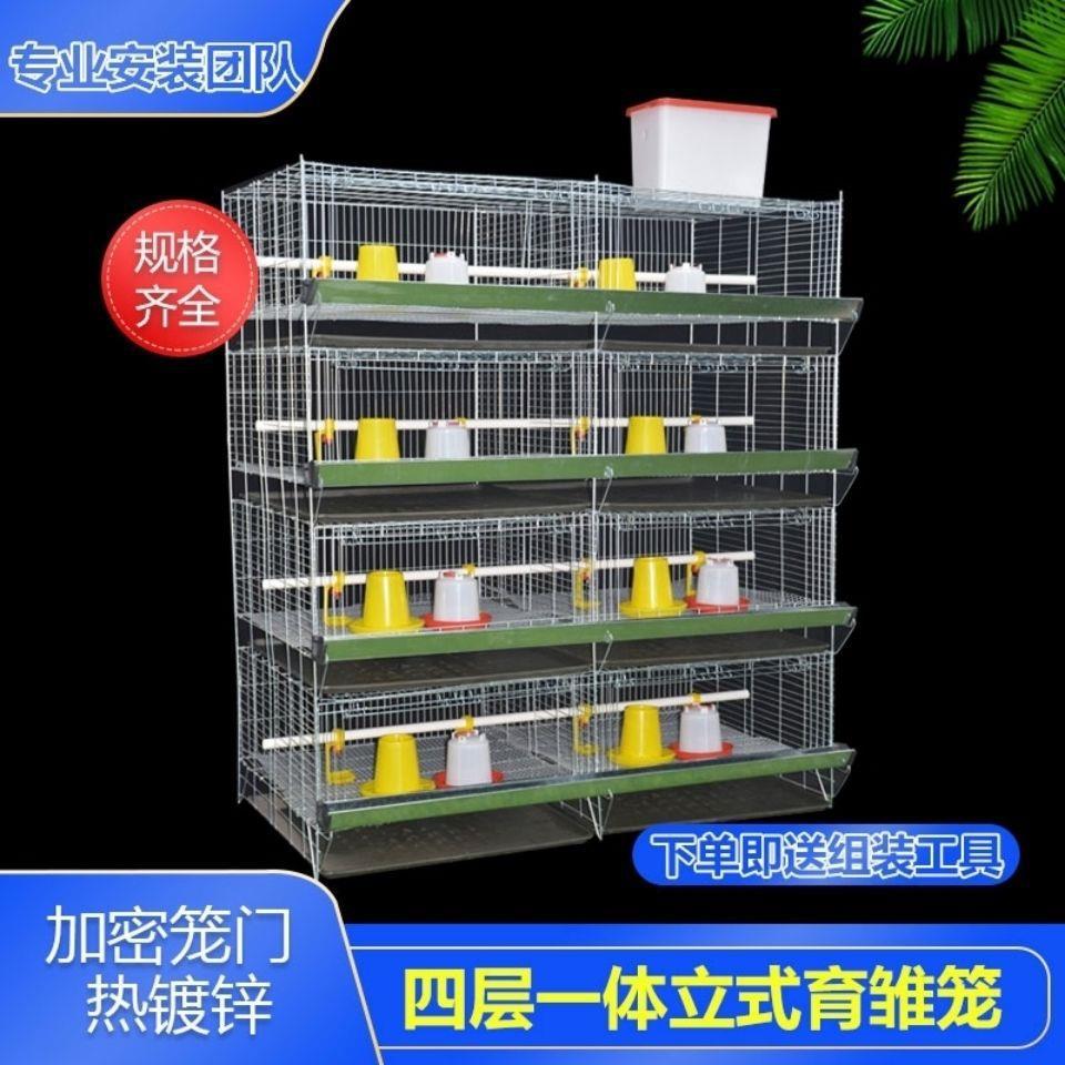 Brooding Chicken Cage, Thickened and Dense Chicks Cage, Chicks Cage, Brooding Chicken Cage, Household Chicks Cage, Chicks Farming Cage
