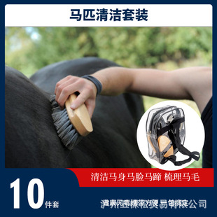 �R���坍 10 ���� �Rƥ�坍ˢ���b �Rˢ�R��ȫ�� �R����Ʒ �R����