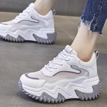 2024ϵЬŮЬ@ߴȹӵЬe\Ь