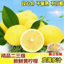 柠檬安岳黄水果二三级黄柠檬皮薄多汁可选大小酸爽包邮新鲜批发价