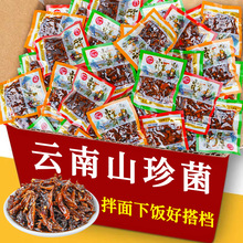 一件代发香蕈鸡枞菌即食牛肝菌松茸菌香菇菌子零食油鸡枞菌云南