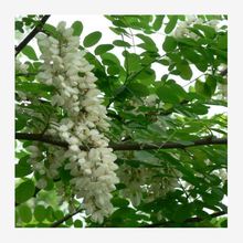 ̻N ׻̻㻨 뻱 ۷ۻSN