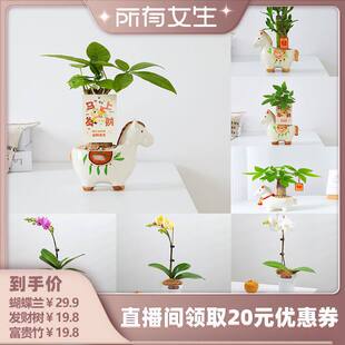 ������Ů��ֱ���g�������k���҃����滨�ܾGֲ���Ժ����m�lؔ��