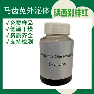 马齿苋外泌体 活性植物外泌体 化妆品原料 天然细胞外囊泡 别样红