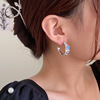 Fashionable silver needle, earrings, silver 925 sample, Japanese and Korean, internet celebrity