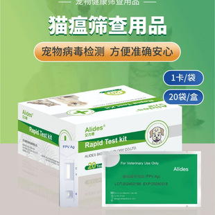 Ȯ��ԇ��Ȯ��СȮ�ڠ�؈��ԇ��؈����؈��֧؈��Ĥ�׿�Ȯԇ