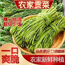 �ؼ��»����ڹ�������̦����ˮ�߲˸ɻ���������������ָɲ˴�ȫ