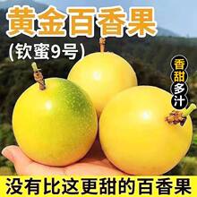 百香果钦蜜9号百香果黄色皮鸡蛋果孕妇新鲜水果直发3/5斤