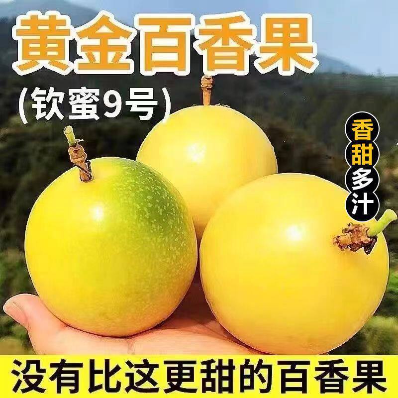 百香果钦蜜9号百香果黄色皮鸡蛋果孕妇新鲜水果直发3/5斤