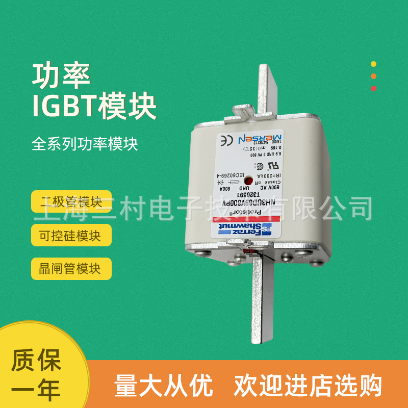 全新熔断器保险质保一年NH2GG40V80/F223726 NH2GG40V100/G223727