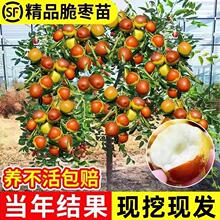 �������޽Ӷ������Թ�����箔��Y�������Ϸ��󗗳����ش�ͥԺ