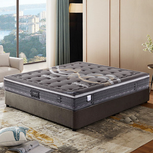 LaTeX coconut palm mattress 1.5 m 1.8m spring mattress 20cm thick household economical dual-use cushion