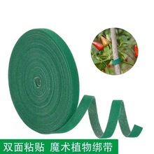 �������ռ{����ħ�g�N������������X����������늾��߾��̶�����