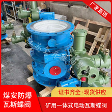 ���_��˹�V�ø�����һ�wʽ늄ӵ��yDN500 PN16��˹�ܵ�����WSD94F