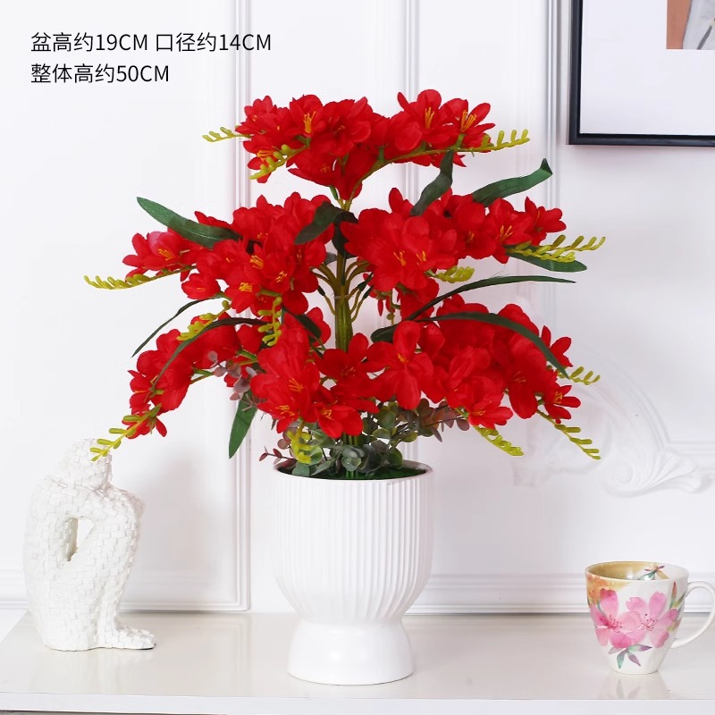 다홍샹설란 18갈래 + 큰 세로무늬 병