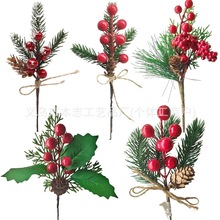 �}�Q�羳؛Դ��֦��ᘻ�֦������c�����b���ֲ��t���{����֦