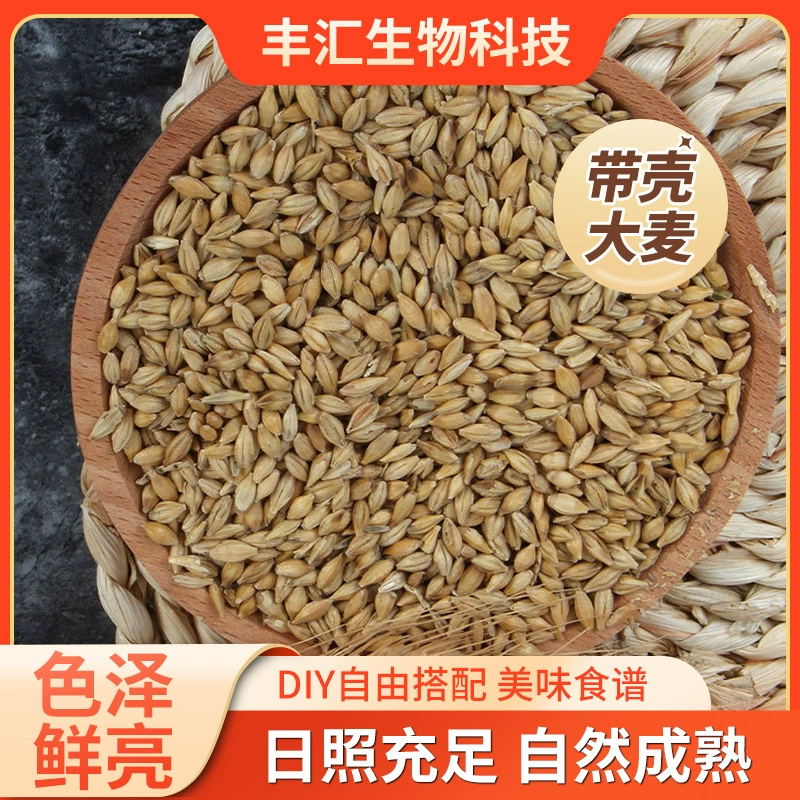 Спотовые поставки ячменя с оболочкой пивоваренного ячменя