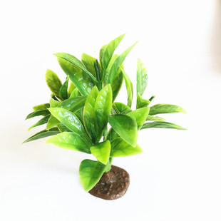 8.5CM�������Ә�ɳ�P���Ә�΢���^�Gֲ�����Ϙ�[������٘��쾰